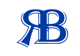 Bruce Logo